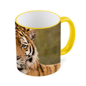 Кружка 3D с принтом Тигр , керамика | ёмкость 330 мл | animal | predator | striped | tiger | view | wild | взгляд | дикий | животное | полосатый | тигр | хищник