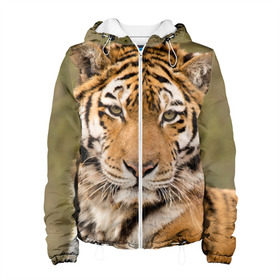 Женская куртка 3D с принтом Тигр , ткань верха — 100% полиэстер, подклад — флис | прямой крой, подол и капюшон оформлены резинкой с фиксаторами, два кармана без застежек по бокам, один большой потайной карман на груди. Карман на груди застегивается на липучку | animal | predator | striped | tiger | view | wild | взгляд | дикий | животное | полосатый | тигр | хищник