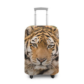 Чехол для чемодана 3D с принтом Тигр , 86% полиэфир, 14% спандекс | двустороннее нанесение принта, прорези для ручек и колес | animal | predator | striped | tiger | view | wild | взгляд | дикий | животное | полосатый | тигр | хищник
