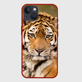 Чехол для iPhone 13 с принтом Тигр ,  |  | animal | predator | striped | tiger | view | wild | взгляд | дикий | животное | полосатый | тигр | хищник