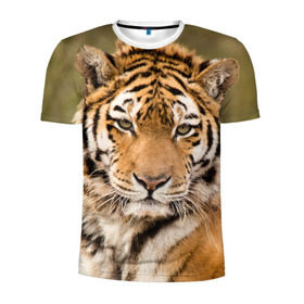Мужская футболка 3D спортивная с принтом Тигр , 100% полиэстер с улучшенными характеристиками | приталенный силуэт, круглая горловина, широкие плечи, сужается к линии бедра | animal | predator | striped | tiger | view | wild | взгляд | дикий | животное | полосатый | тигр | хищник