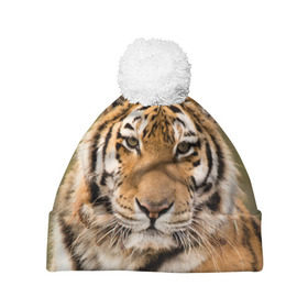 Шапка 3D c помпоном с принтом Тигр , 100% полиэстер | универсальный размер, печать по всей поверхности изделия | animal | predator | striped | tiger | view | wild | взгляд | дикий | животное | полосатый | тигр | хищник