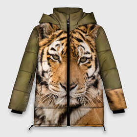 Женская зимняя куртка 3D с принтом Тигр , верх — 100% полиэстер; подкладка — 100% полиэстер; утеплитель — 100% полиэстер | длина ниже бедра, силуэт Оверсайз. Есть воротник-стойка, отстегивающийся капюшон и ветрозащитная планка. 

Боковые карманы с листочкой на кнопках и внутренний карман на молнии | animal | predator | striped | tiger | view | wild | взгляд | дикий | животное | полосатый | тигр | хищник
