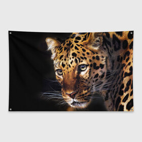Флаг-баннер с принтом Леопард , 100% полиэстер | размер 67 х 109 см, плотность ткани — 95 г/м2; по краям флага есть четыре люверса для крепления | animal | leopard | look | predator | spotted | wild | взгляд | дикий | животное | леопард | пятнистый | хищник
