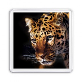 Магнит 55*55 с принтом Леопард , Пластик | Размер: 65*65 мм; Размер печати: 55*55 мм | animal | leopard | look | predator | spotted | wild | взгляд | дикий | животное | леопард | пятнистый | хищник