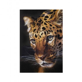 Обложка для паспорта матовая кожа с принтом Леопард , натуральная матовая кожа | размер 19,3 х 13,7 см; прозрачные пластиковые крепления | animal | leopard | look | predator | spotted | wild | взгляд | дикий | животное | леопард | пятнистый | хищник