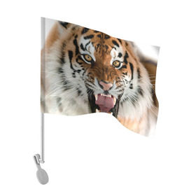 Флаг для автомобиля с принтом Тигр , 100% полиэстер | Размер: 30*21 см | animal | predator | striped | tiger | view | wild | взгляд | дикий | животное | полосатый | тигр | хищник