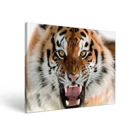 Холст прямоугольный с принтом Тигр , 100% ПВХ |  | animal | predator | striped | tiger | view | wild | взгляд | дикий | животное | полосатый | тигр | хищник