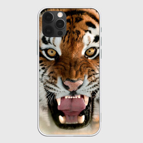 Чехол для iPhone 12 Pro Max с принтом Тигр , Силикон |  | Тематика изображения на принте: animal | predator | striped | tiger | view | wild | взгляд | дикий | животное | полосатый | тигр | хищник