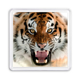 Магнит 55*55 с принтом Тигр , Пластик | Размер: 65*65 мм; Размер печати: 55*55 мм | Тематика изображения на принте: animal | predator | striped | tiger | view | wild | взгляд | дикий | животное | полосатый | тигр | хищник