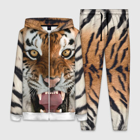 Женский костюм 3D с принтом Тигр ,  |  | animal | predator | striped | tiger | view | wild | взгляд | дикий | животное | полосатый | тигр | хищник