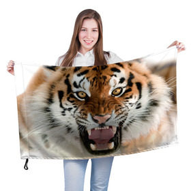 Флаг 3D с принтом Тигр , 100% полиэстер | плотность ткани — 95 г/м2, размер — 67 х 109 см. Принт наносится с одной стороны | animal | predator | striped | tiger | view | wild | взгляд | дикий | животное | полосатый | тигр | хищник
