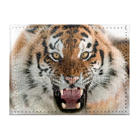 Обложка для студенческого билета с принтом Тигр , натуральная кожа | Размер: 11*8 см; Печать на всей внешней стороне | Тематика изображения на принте: animal | predator | striped | tiger | view | wild | взгляд | дикий | животное | полосатый | тигр | хищник