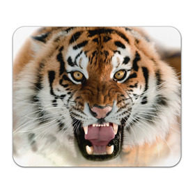 Коврик прямоугольный с принтом Тигр , натуральный каучук | размер 230 х 185 мм; запечатка лицевой стороны | animal | predator | striped | tiger | view | wild | взгляд | дикий | животное | полосатый | тигр | хищник