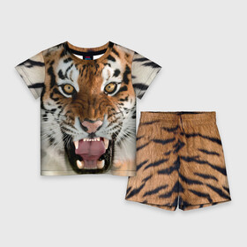 Детский костюм с шортами 3D с принтом Тигр ,  |  | Тематика изображения на принте: animal | predator | striped | tiger | view | wild | взгляд | дикий | животное | полосатый | тигр | хищник