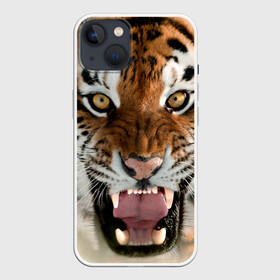 Чехол для iPhone 13 с принтом Тигр ,  |  | animal | predator | striped | tiger | view | wild | взгляд | дикий | животное | полосатый | тигр | хищник