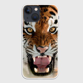 Чехол для iPhone 13 mini с принтом Тигр ,  |  | animal | predator | striped | tiger | view | wild | взгляд | дикий | животное | полосатый | тигр | хищник