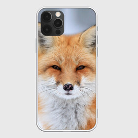 Чехол для iPhone 12 Pro Max с принтом Лиса , Силикон |  | Тематика изображения на принте: animal | fox | look | predator | red | sly | wild | взгляд | дикая | животное | лиса | рыжая | хитрая | хищник