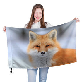 Флаг 3D с принтом Лиса , 100% полиэстер | плотность ткани — 95 г/м2, размер — 67 х 109 см. Принт наносится с одной стороны | animal | fox | look | predator | red | sly | wild | взгляд | дикая | животное | лиса | рыжая | хитрая | хищник