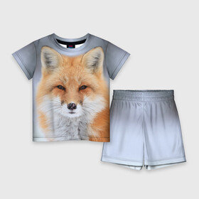 Детский костюм с шортами 3D с принтом Лиса ,  |  | Тематика изображения на принте: animal | fox | look | predator | red | sly | wild | взгляд | дикая | животное | лиса | рыжая | хитрая | хищник