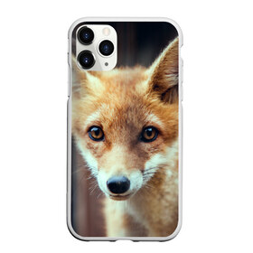 Чехол для iPhone 11 Pro матовый с принтом Лиса , Силикон |  | animal | baby | fox | look | predator | red | sly | wild | взгляд | дикая | животное | лиса | малыш | рыжая | хитрая | хищник