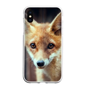 Чехол для iPhone XS Max матовый с принтом Лиса , Силикон | Область печати: задняя сторона чехла, без боковых панелей | animal | baby | fox | look | predator | red | sly | wild | взгляд | дикая | животное | лиса | малыш | рыжая | хитрая | хищник