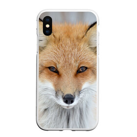 Чехол для iPhone XS Max матовый с принтом Лиса , Силикон | Область печати: задняя сторона чехла, без боковых панелей | animal | baby | fox | look | predator | red | sly | wild | взгляд | дикая | животное | лиса | малыш | рыжая | хитрая | хищник