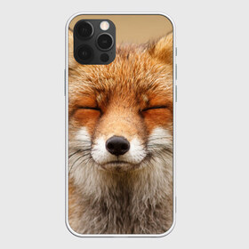 Чехол для iPhone 12 Pro Max с принтом Лиса , Силикон |  | animal | baby | fox | look | predator | red | sly | wild | взгляд | дикая | животное | лиса | малыш | рыжая | хитрая | хищник