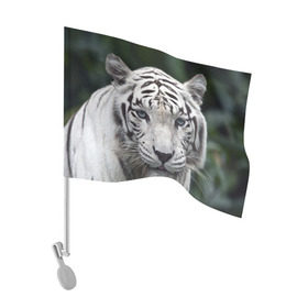Флаг для автомобиля с принтом Белый тигр , 100% полиэстер | Размер: 30*21 см | animal | jungle | look | predator | tiger | white | wild | белый | взгляд | джунгли | дикий | животное | тигр | хищник