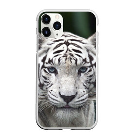 Чехол для iPhone 11 Pro матовый с принтом Белый тигр , Силикон |  | animal | jungle | look | predator | tiger | white | wild | белый | взгляд | джунгли | дикий | животное | тигр | хищник