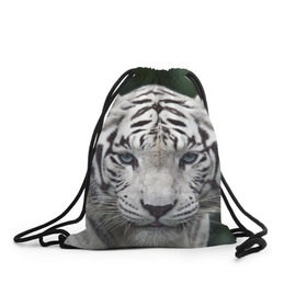Рюкзак-мешок 3D с принтом Белый тигр , 100% полиэстер | плотность ткани — 200 г/м2, размер — 35 х 45 см; лямки — толстые шнурки, застежка на шнуровке, без карманов и подкладки | animal | jungle | look | predator | tiger | white | wild | белый | взгляд | джунгли | дикий | животное | тигр | хищник