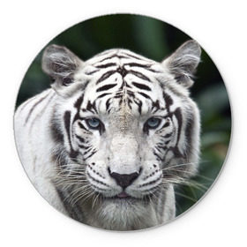 Коврик круглый с принтом Белый тигр , резина и полиэстер | круглая форма, изображение наносится на всю лицевую часть | Тематика изображения на принте: animal | jungle | look | predator | tiger | white | wild | белый | взгляд | джунгли | дикий | животное | тигр | хищник