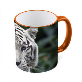 Кружка 3D с принтом Белый тигр , керамика | ёмкость 330 мл | animal | jungle | look | predator | tiger | white | wild | белый | взгляд | джунгли | дикий | животное | тигр | хищник