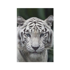 Обложка для паспорта матовая кожа с принтом Белый тигр , натуральная матовая кожа | размер 19,3 х 13,7 см; прозрачные пластиковые крепления | animal | jungle | look | predator | tiger | white | wild | белый | взгляд | джунгли | дикий | животное | тигр | хищник