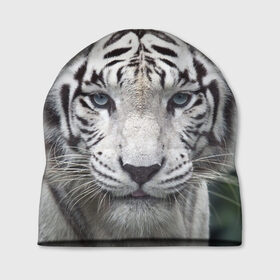 Шапка 3D с принтом Белый тигр , 100% полиэстер | универсальный размер, печать по всей поверхности изделия | Тематика изображения на принте: animal | jungle | look | predator | tiger | white | wild | белый | взгляд | джунгли | дикий | животное | тигр | хищник