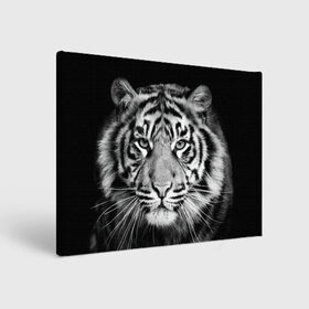 Холст прямоугольный с принтом Тигр , 100% ПВХ |  | animal | black   white | look | predator | tiger | wild | взгляд | дикий | животное | тигр | хищник | черно   белый