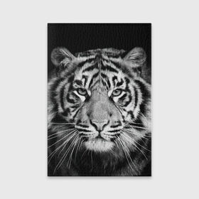 Обложка для паспорта матовая кожа с принтом Тигр , натуральная матовая кожа | размер 19,3 х 13,7 см; прозрачные пластиковые крепления | animal | black   white | look | predator | tiger | wild | взгляд | дикий | животное | тигр | хищник | черно   белый