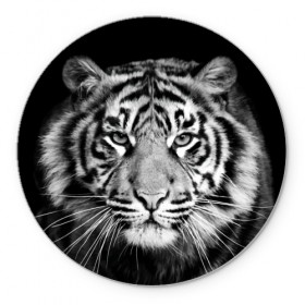 Коврик круглый с принтом Тигр , резина и полиэстер | круглая форма, изображение наносится на всю лицевую часть | Тематика изображения на принте: animal | black   white | look | predator | tiger | wild | взгляд | дикий | животное | тигр | хищник | черно   белый