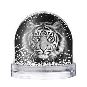 Снежный шар с принтом Тигр , Пластик | Изображение внутри шара печатается на глянцевой фотобумаге с двух сторон | animal | black   white | look | predator | tiger | wild | взгляд | дикий | животное | тигр | хищник | черно   белый