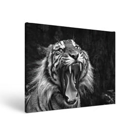 Холст прямоугольный с принтом Тигр , 100% ПВХ |  | Тематика изображения на принте: animal | black   white | fangs | jaws | jungle | predator | teeth | tiger | wild | джунгли | дикий | животное | клыки | оскал | пасть | тигр | хищник | черно   белый