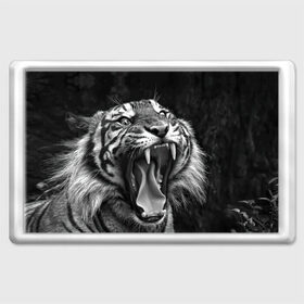 Магнит 45*70 с принтом Тигр , Пластик | Размер: 78*52 мм; Размер печати: 70*45 | Тематика изображения на принте: animal | black   white | fangs | jaws | jungle | predator | teeth | tiger | wild | джунгли | дикий | животное | клыки | оскал | пасть | тигр | хищник | черно   белый