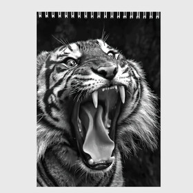 Скетчбук с принтом Тигр , 100% бумага
 | 48 листов, плотность листов — 100 г/м2, плотность картонной обложки — 250 г/м2. Листы скреплены сверху удобной пружинной спиралью | Тематика изображения на принте: animal | black   white | fangs | jaws | jungle | predator | teeth | tiger | wild | джунгли | дикий | животное | клыки | оскал | пасть | тигр | хищник | черно   белый