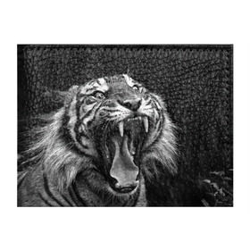 Обложка для студенческого билета с принтом Тигр , натуральная кожа | Размер: 11*8 см; Печать на всей внешней стороне | Тематика изображения на принте: animal | black   white | fangs | jaws | jungle | predator | teeth | tiger | wild | джунгли | дикий | животное | клыки | оскал | пасть | тигр | хищник | черно   белый