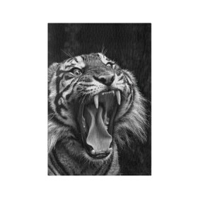 Обложка для паспорта матовая кожа с принтом Тигр , натуральная матовая кожа | размер 19,3 х 13,7 см; прозрачные пластиковые крепления | animal | black   white | fangs | jaws | jungle | predator | teeth | tiger | wild | джунгли | дикий | животное | клыки | оскал | пасть | тигр | хищник | черно   белый