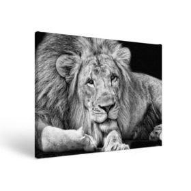 Холст прямоугольный с принтом Лев , 100% ПВХ |  | animal | black   white | king | lies | lion | look | predator | wild | взгляд | дикий | животное | зверь | лев | лежит | хищник | царь | черно   белый
