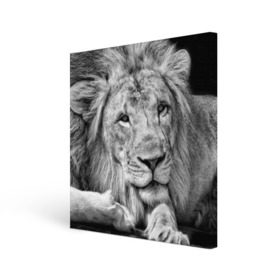 Холст квадратный с принтом Лев , 100% ПВХ |  | Тематика изображения на принте: animal | black   white | king | lies | lion | look | predator | wild | взгляд | дикий | животное | зверь | лев | лежит | хищник | царь | черно   белый