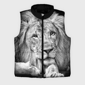 Мужской жилет утепленный 3D с принтом Лев ,  |  | animal | black   white | king | lies | lion | look | predator | wild | взгляд | дикий | животное | зверь | лев | лежит | хищник | царь | черно   белый