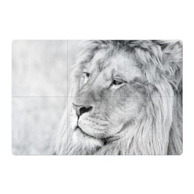 Магнитный плакат 3Х2 с принтом Лев , Полимерный материал с магнитным слоем | 6 деталей размером 9*9 см | Тематика изображения на принте: animal | black   white | king | lion | look | predator | wild | взгляд | дикий | животное | зверь | лев | хищник | царь | черно   белый
