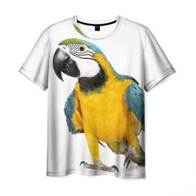 Мужская футболка 3D с принтом Попугай ара , 100% полиэфир | прямой крой, круглый вырез горловины, длина до линии бедер | Тематика изображения на принте: желтый | птица | синий | экзотика