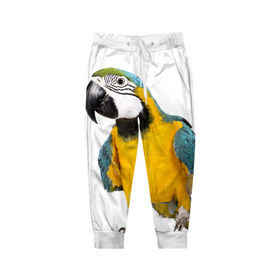 Детские брюки 3D с принтом Попугай ара , 100% полиэстер | манжеты по низу, эластичный пояс регулируется шнурком, по бокам два кармана без застежек, внутренняя часть кармана из мелкой сетки | желтый | птица | синий | экзотика